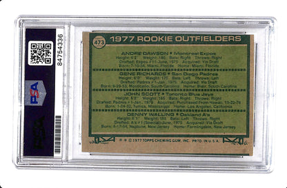1977 TOPPS ANDREW DAWSON ROOKIES PSA DNA AUTHENTIC AUTO