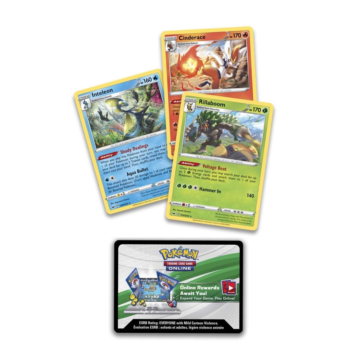 Collector Chest (Fall 2020)