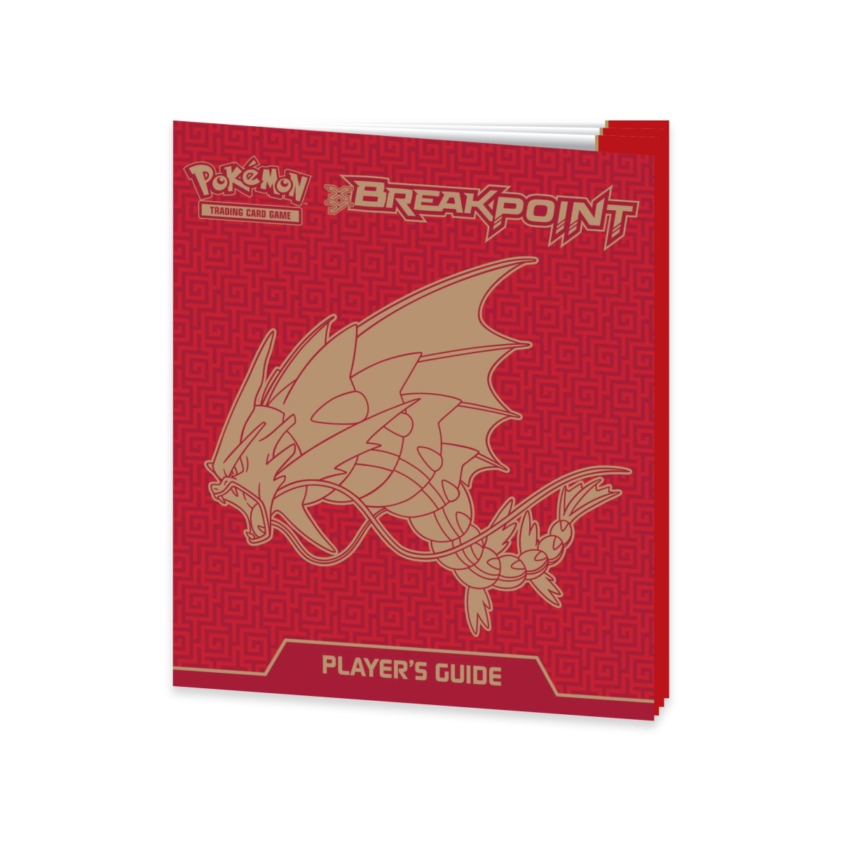 XY-BREAKpoint Elite Trainer Box